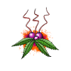 Weedfruit # 1