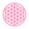 Flower of life pink