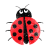 Ladybug shirt spring gift insect
