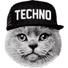 Techno cat