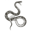 Schlange / Snake