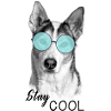 Chien - Reste cool