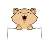 Katze