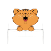 orange kitten