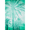 PalmBeach