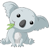 Little koala bear