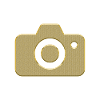 Golden camera