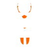 lucane