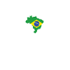 Brazil flag
