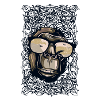Cool monkey with sunglasses