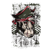 pirate monkey