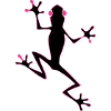Frog pink black