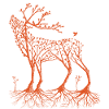 Wald-Hirsch in orange