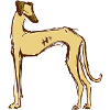 sloughi