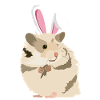 Hamster Med Påske Kanin Øre Funny Pascha