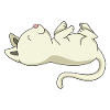 Sleeping kitten gift pet