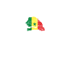 Senegal flag