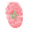 Morocco flag