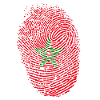 Morocco flag