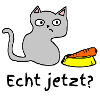 Echt Jetzt Katze