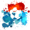 Fussball Farben. Geschenkidee!