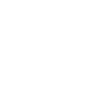 Bicycle Skull