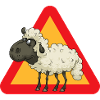 sheep