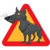 wolf