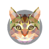 Cat, cat's head modern