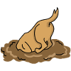 Hund