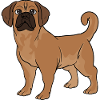 Puggle Beagle Pug Dog
