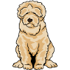Labradoodle Goldendoodle Doodle Dog