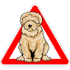 Labradoodle Goldendoodle Doodle Dog