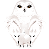 winter animal