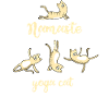 yoga cat Namaste Katze om frau miau humor LOL spor
