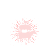 Cow Pig Chicken