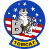 Tomcat F-14 B