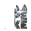 NASSU Schipperke I