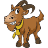 Goat goat