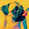 Pop-Art