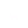Caniche Maman maman cadeau Hundemama
