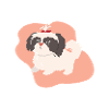 Dog with braid