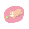 Dog with play ball