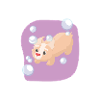 Soap bubbles dog