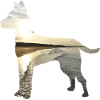 Hund-Nordsee