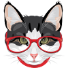 Funny cat with red glasses