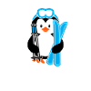 Ski penguin