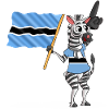 Botswana zebra