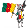 Cameroon zebra