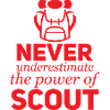 Scout, Scout, Wolfling, Rover, Gift